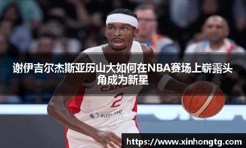 雷竞技RAYBET